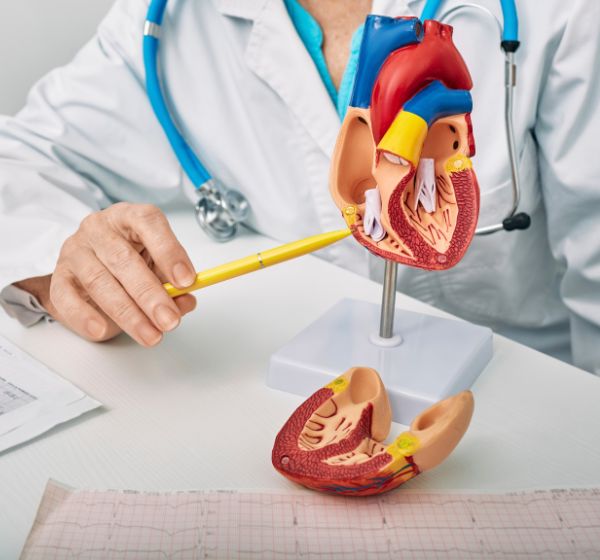 cardiology SeCURE Hospitals